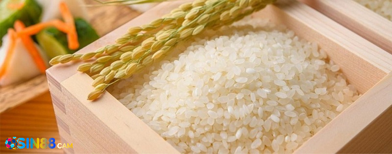 Mơ thấy gạo có ý nghĩa gì trong cuộc sống hiện nay 